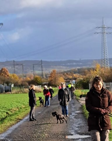 Gemeinsamer Spaziergang mit Hunden im Herbst in Göttingen – Vereinsleben PSK