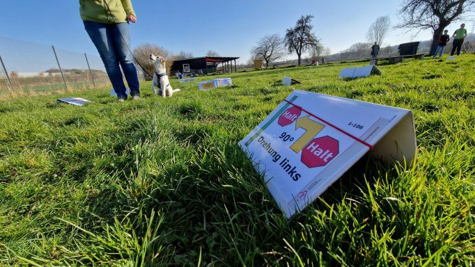 Rally Obedience Training in Göttingen für alle Rassen