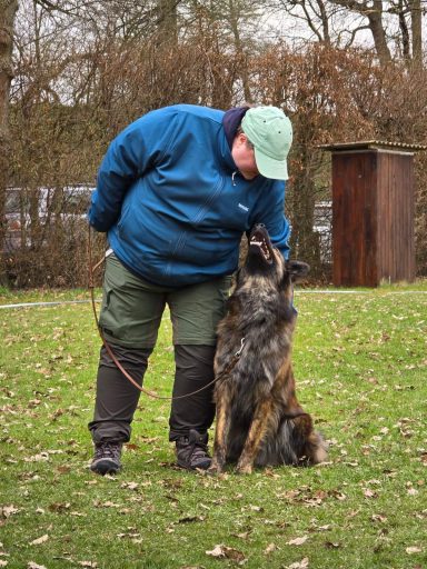 Hundeführer lobt Hund für bestandene Begleithundprüfung in Göttingen