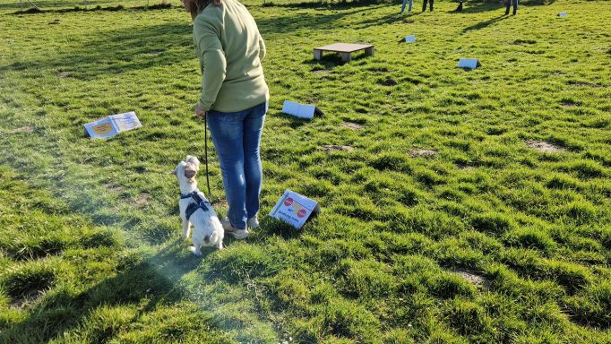 Parson Russell beim Rally Obedience Training in Göttingen